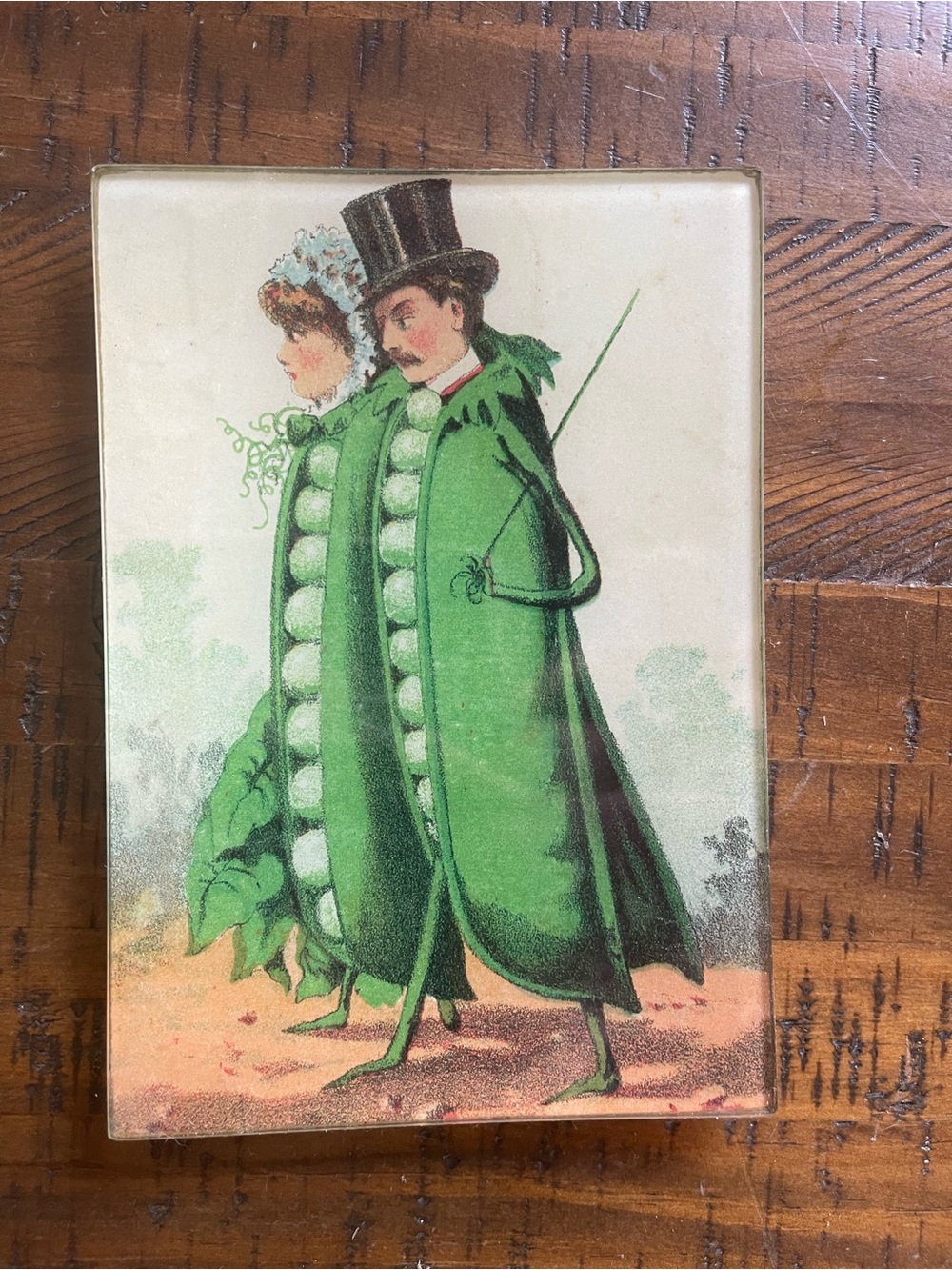 John Derian Peas in a Pod Decoupage Glass Tray